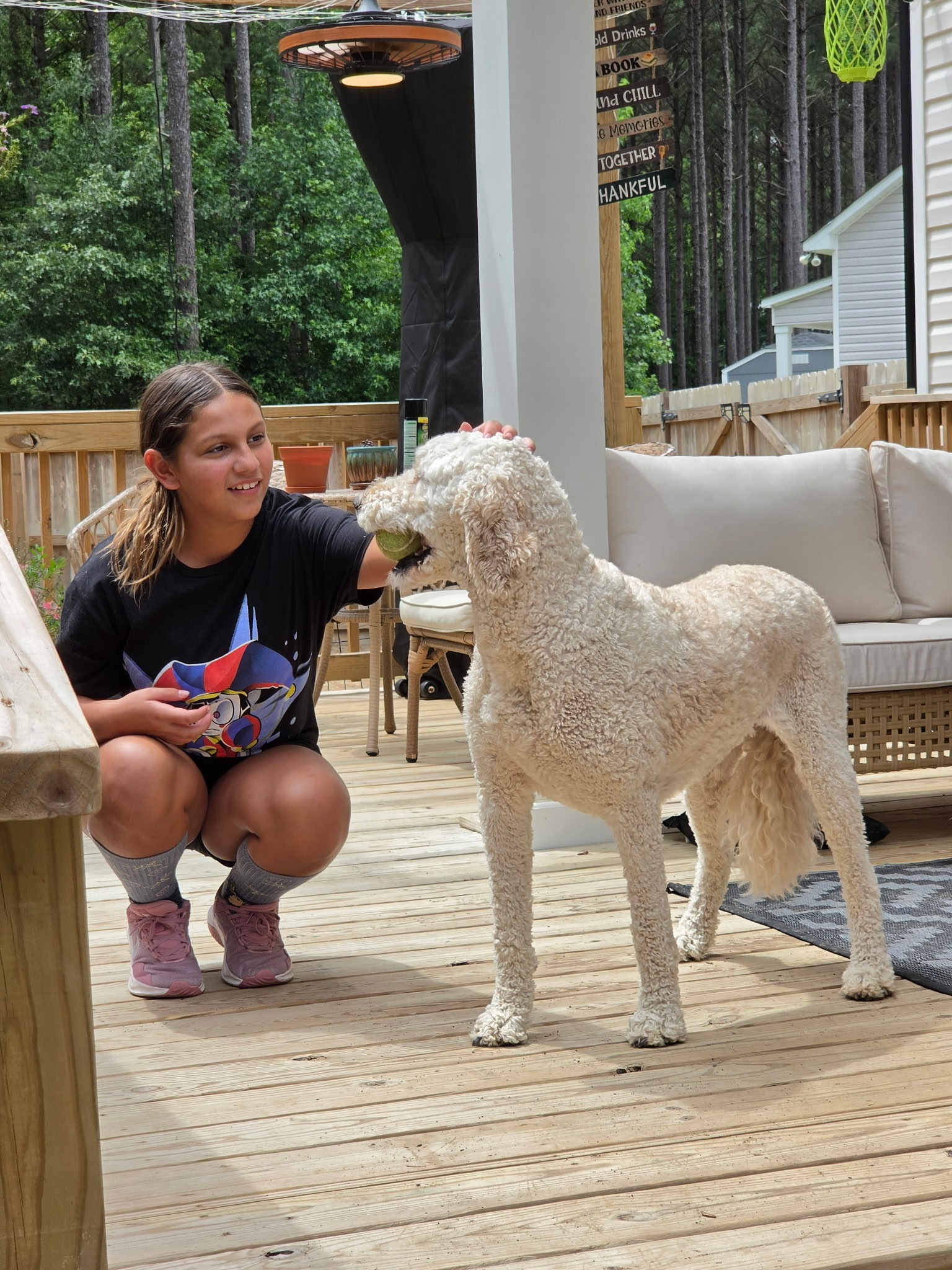 Playing fetch with a fluffy dog on the deck